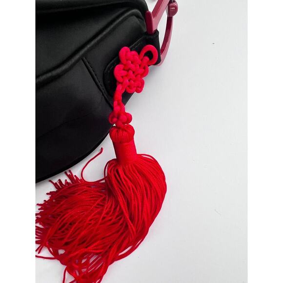 Dior world saddle bag- Japan - Picture 9 of 10